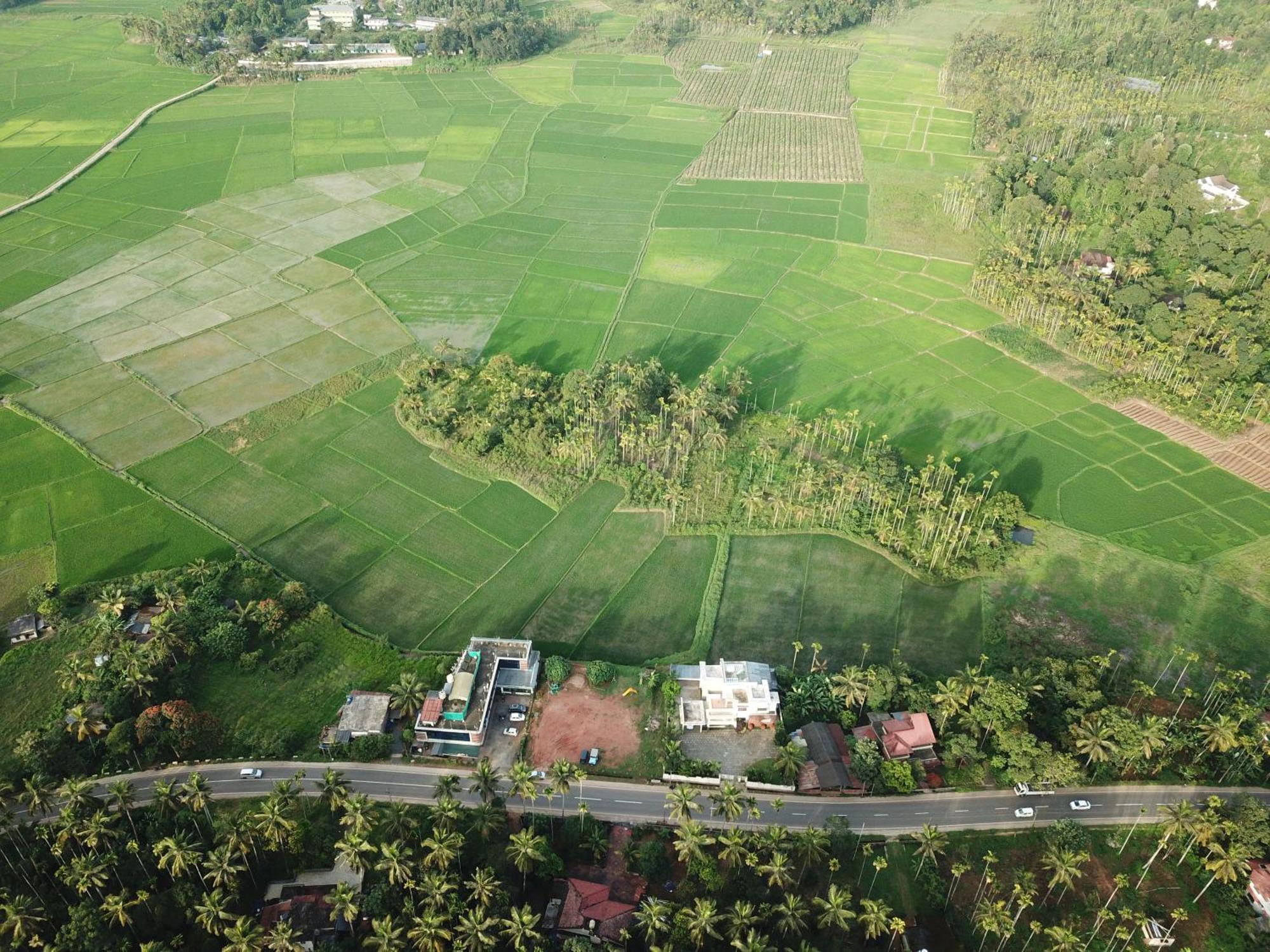 Paddyfield Inn Mananthavady Exterior photo