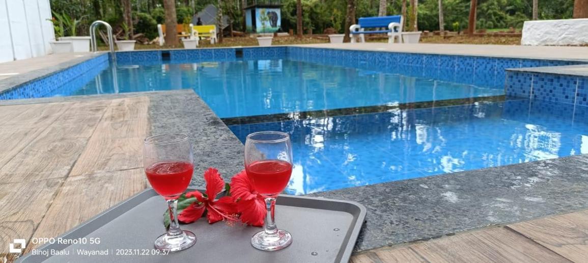 Paddyfield Inn Mananthavady Exterior photo